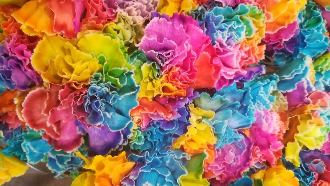 CSD Flower & Art shows its colors